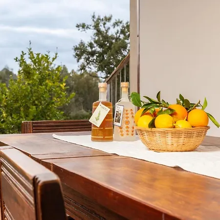 Domu Bresca ムラヴェーラ